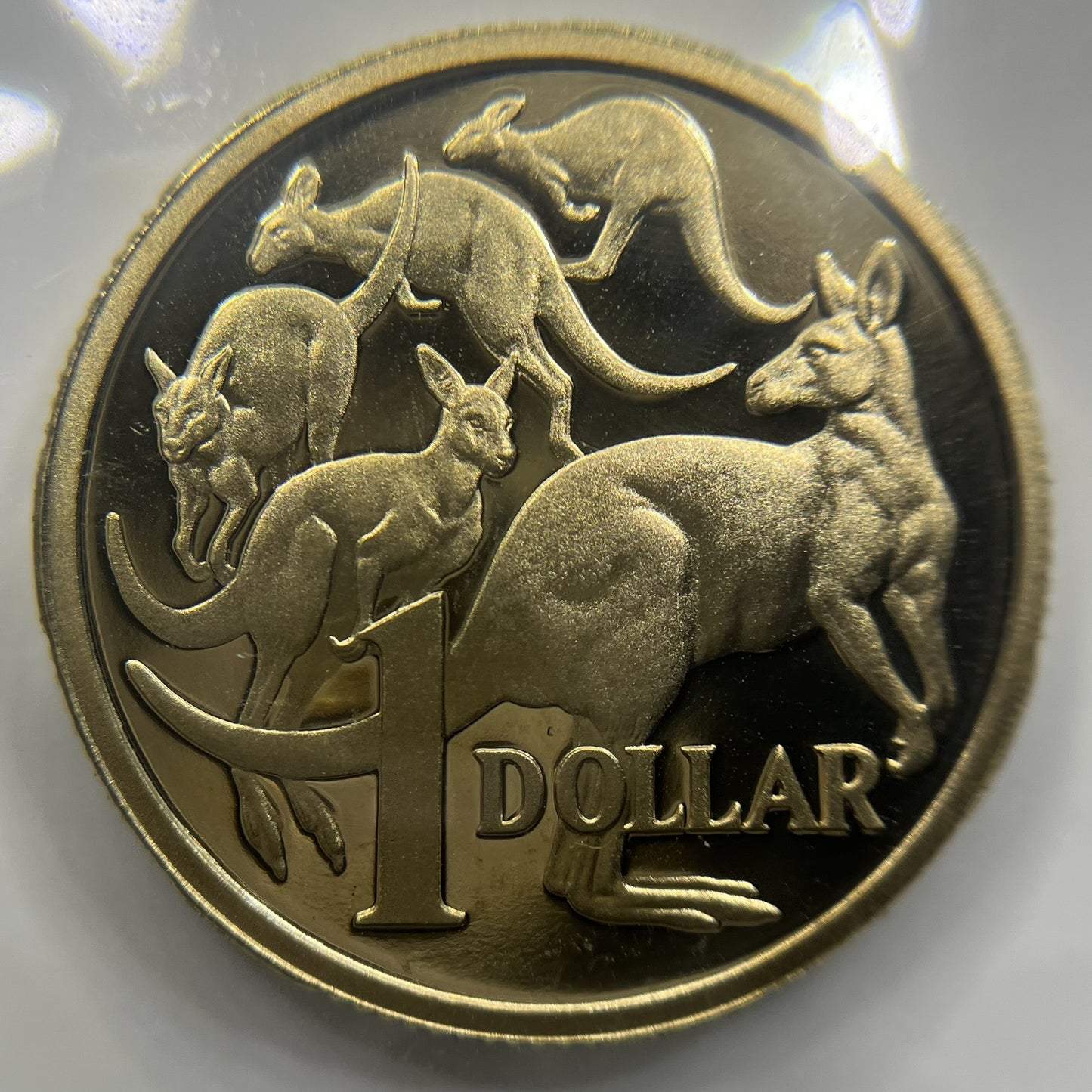 2010 One Dollar $1 Coin - Ex Proof Set - Elizabeth II