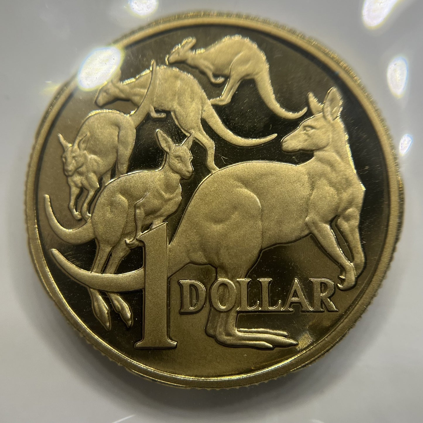 1998 One Dollar $1 Coin - Ex Proof Set - Elizabeth II