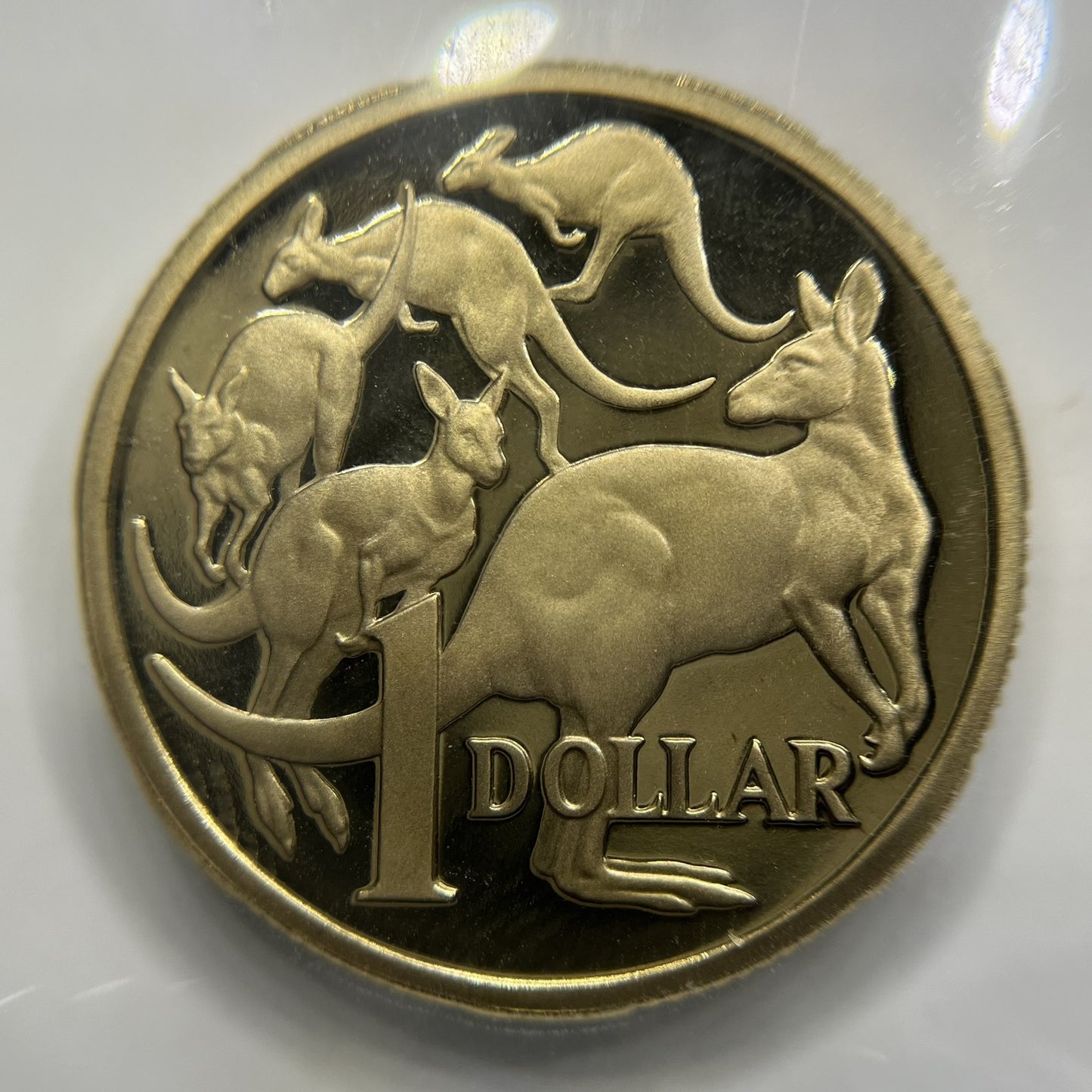 1989 One Dollar $1 Coin - Ex Proof Set - Elizabeth II