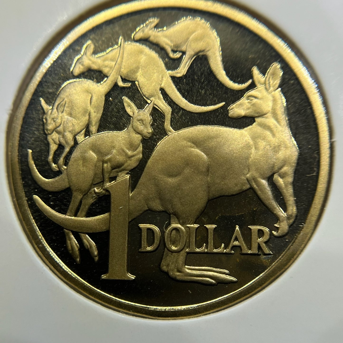 1984 One 1 Dollar Coin - Ex Proof Set - Elizabeth II Australia First Year Issue