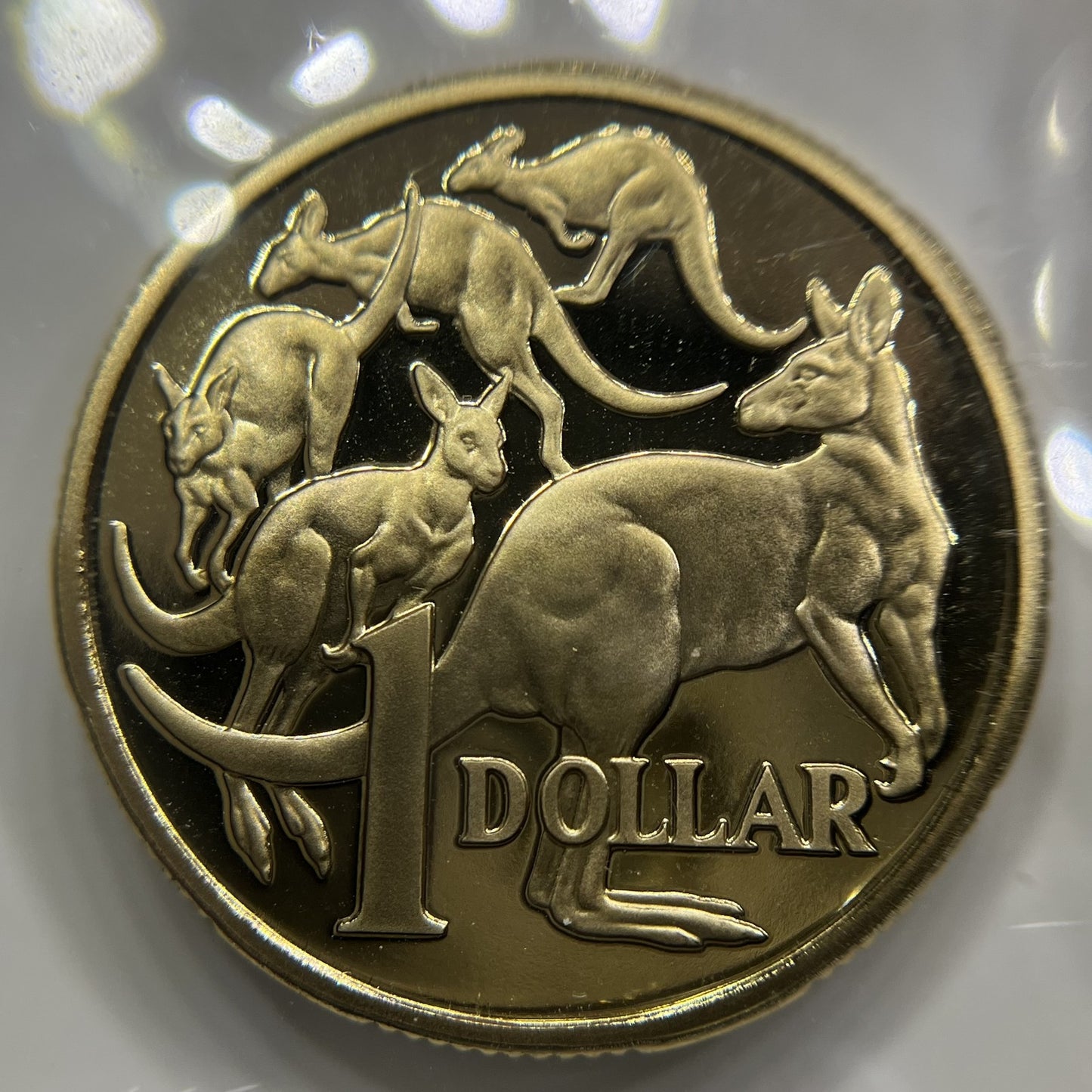 1990 One Dollar $1 Coin - Ex Proof Set - Elizabeth II