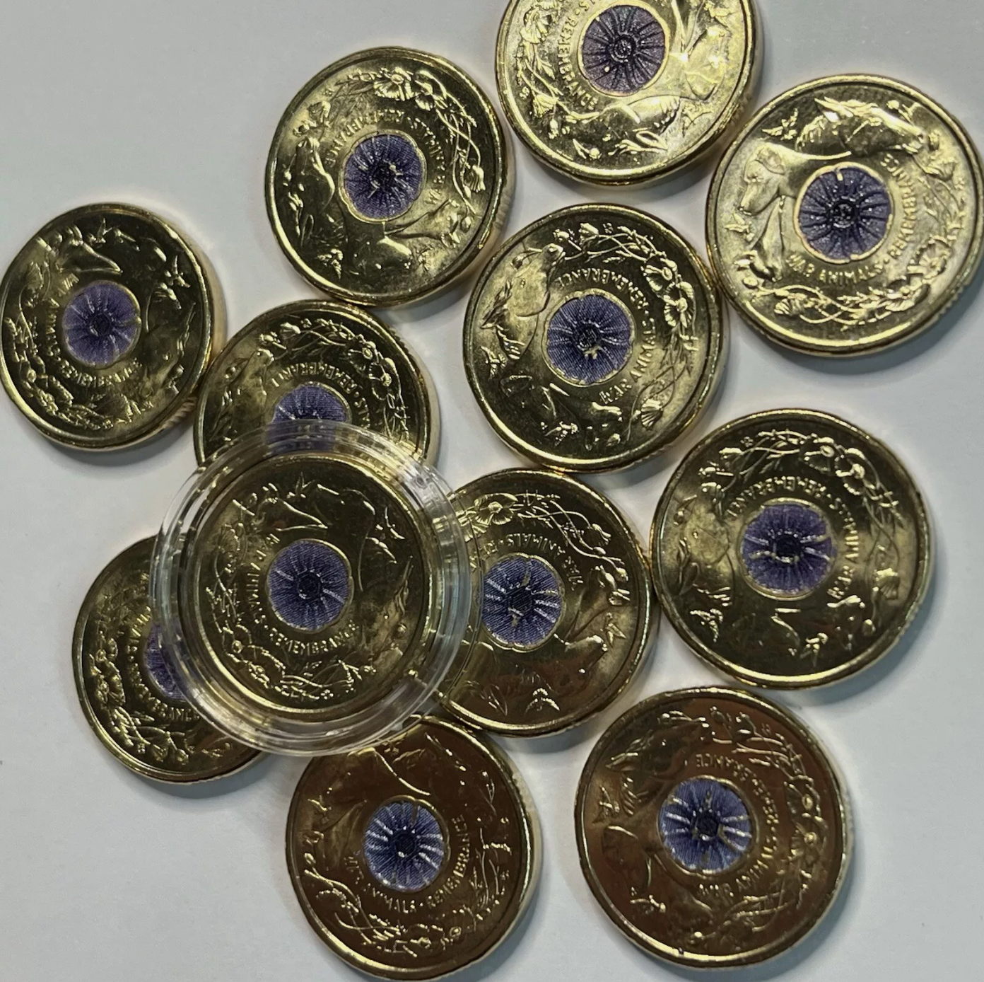 2024 Purple Poppy 2 Dollar - Uncirculated
