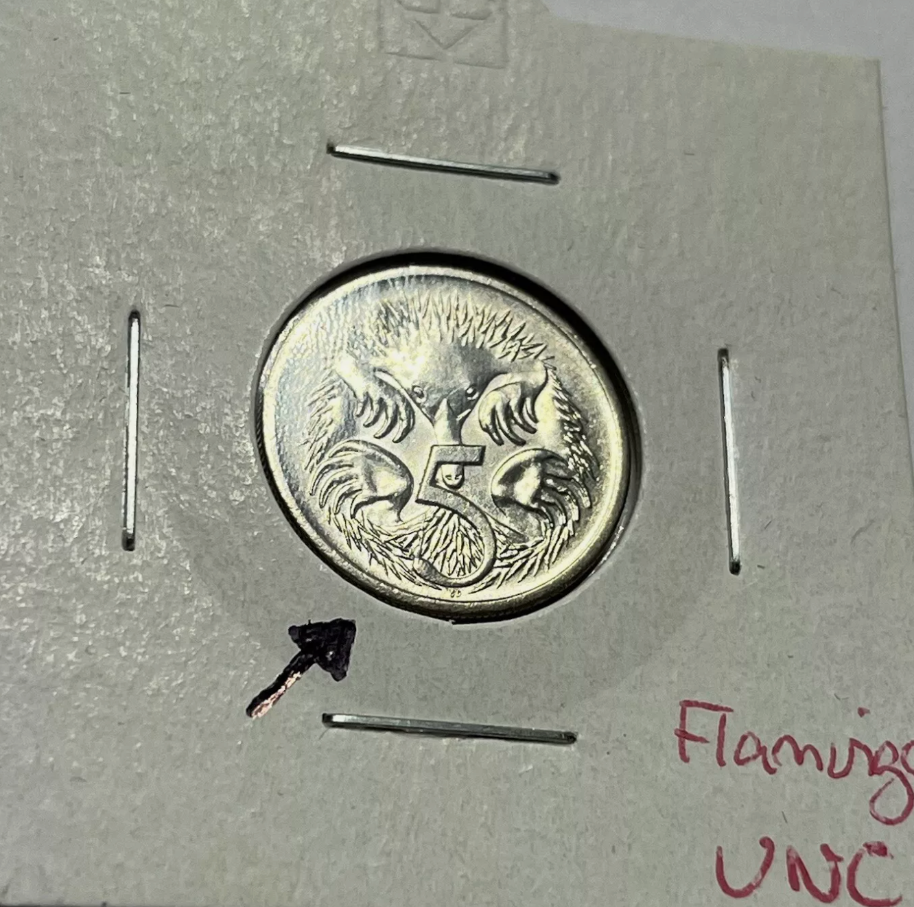 2001 Five Cent Coin - Flamingo Error - Uncirculated