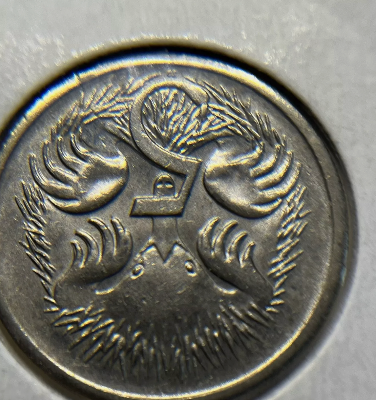 2001 Five Cent Coin - Flamingo Error - Circulated